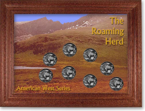 Roaming Herd Buffalo Nickel Collector Frame LARGE