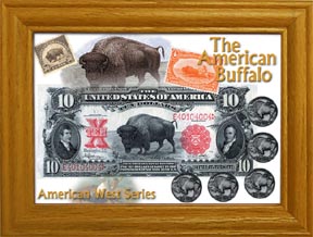 The American Buffalo Coin Collection MAIN