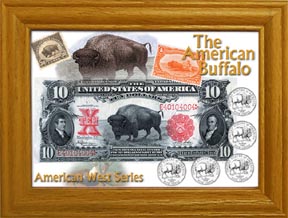The American Buffalo Coin Collection MAIN
