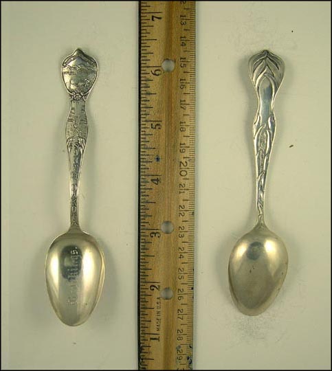 Man Digging, State Seal, Brookings, South Dakota Souvenir Spoon MAIN