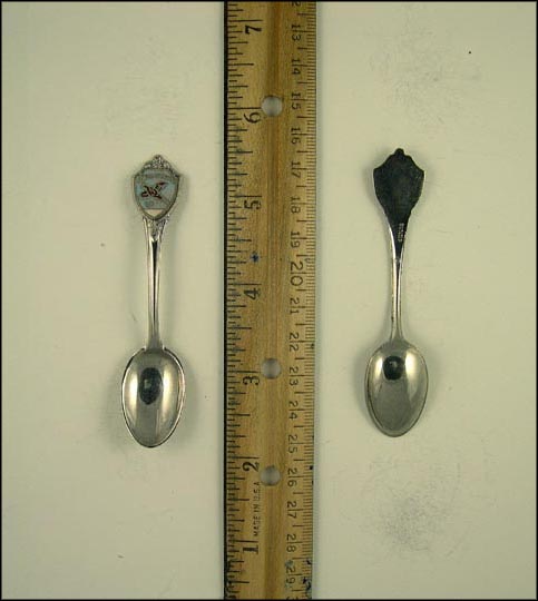 Enamel, Bird, South Dakota Souvenir Spoon MAIN