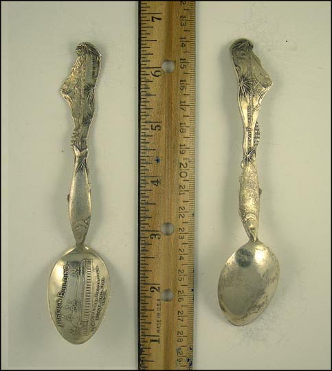 Foreign Building, Fish, Mt. Hood, Lewis and Clark Exposition, Portland, Oregon Souvenir Spoon MAIN