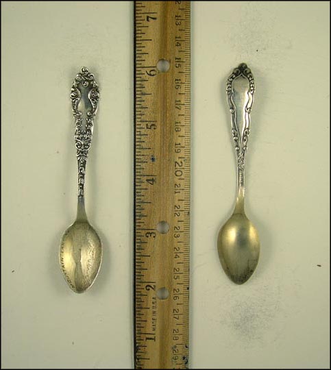 Floral, Farm Land, Building, Mountain Lake, Virginia Souvenir Spoon MAIN