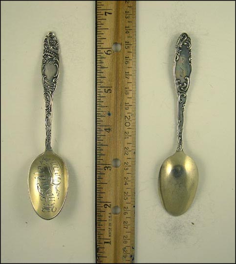 Floral, Knoxville, Tennessee Souvenir Spoon MAIN