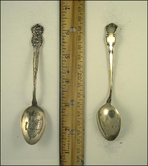 Lookout Mountain, Floral, Chattanooga, Tennessee Souvenir Spoon MAIN