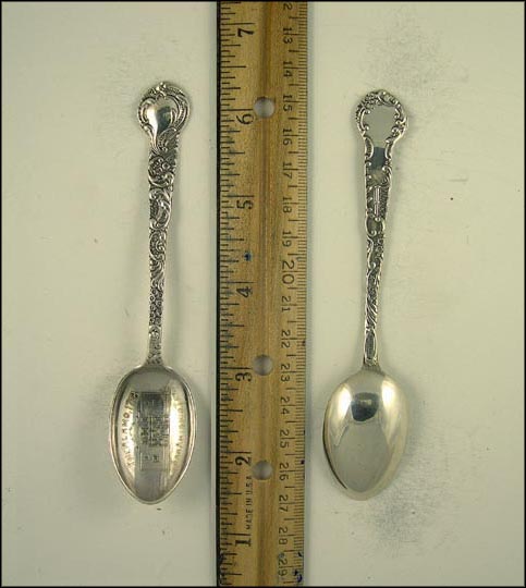 Floral, The Alamo, San Antonio, Texas Souvenir Spoon MAIN