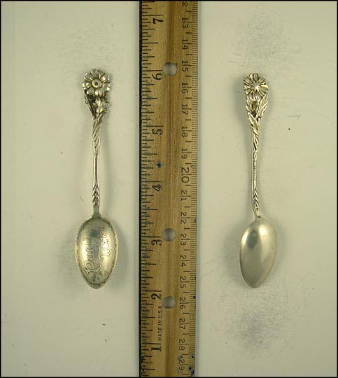 Flower, Paris, Texas Souvenir Spoon MAIN