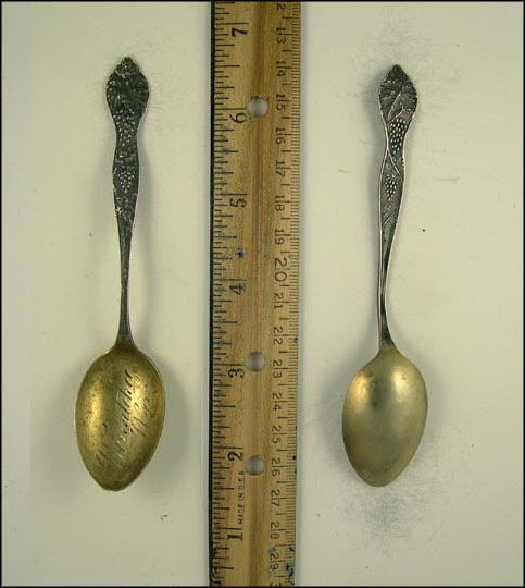 Grape Clusters, Wenatchee, Wash, Wenatchee, Washington Souvenir Spoon MAIN