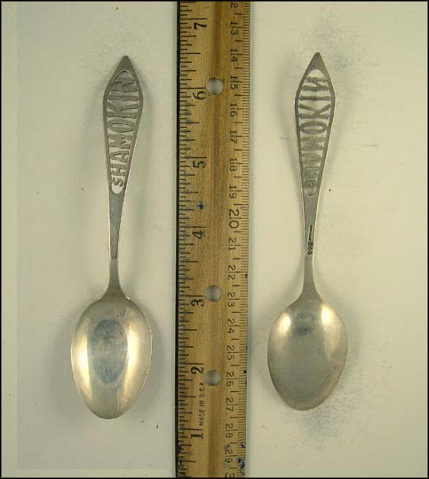 Cut Out, Shamokin, Pennsylvania Souvenir Spoon MAIN