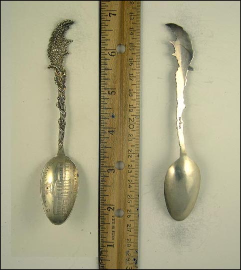 State Capitol, Flowers, Harrisburg, Pennsylvania Souvenir Spoon MAIN