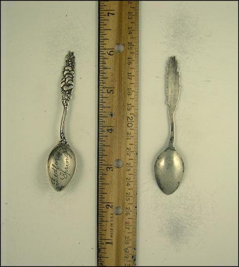 Floral, Bedford Springs, Pennsylvania Souvenir Spoon MAIN