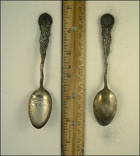 Niagara Falls, Native American, Tools, Niagara Falls, New York Souvenir Spoon MAIN