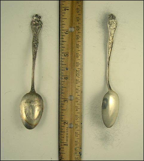 Niagara Falls, Niagara Falls, New York Souvenir Spoon MAIN