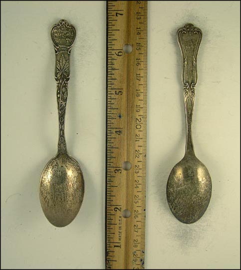 State Seal, Buckeye Plant, Ohio Souvenir Spoon MAIN