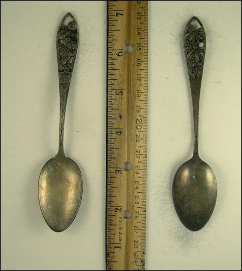 Buckeyes, Marion, Ohio Souvenir Spoon MAIN