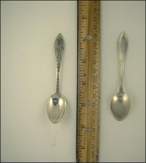 Cactus, Arizona, Arizona Souvenir Spoon MAIN
