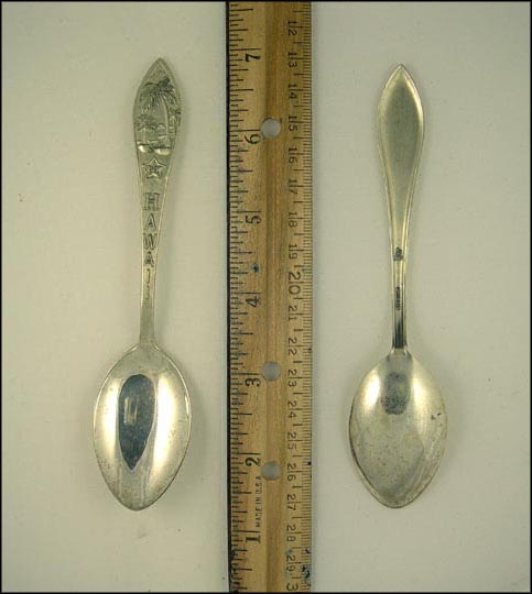 Palm Trees, Hawaii Souvenir Spoon MAIN