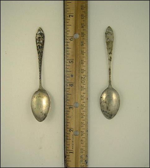 Hibiscus, Honolulu, Hawaii Souvenir Spoon MAIN