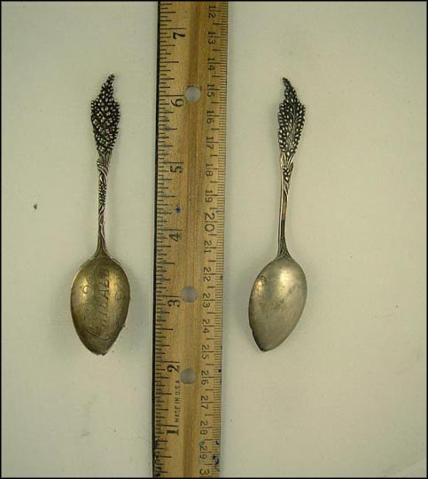 Chicago, Illinois Souvenir Spoon MAIN