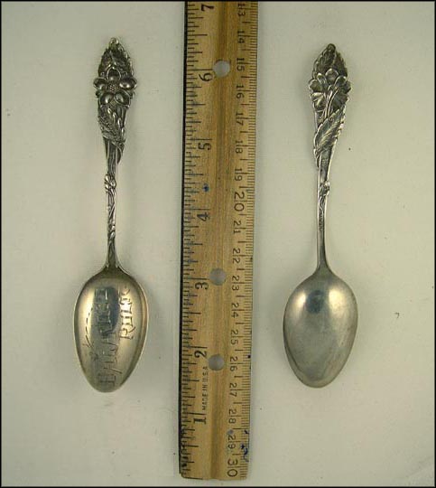 Balanced Rock, Columbine Flowers, Idaho Souvenir Spoon MAIN