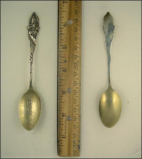 Columbine Flowers, Denver, Colorado Souvenir Spoon MAIN