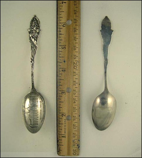 Auditorium Building, Seating Capacity 11,500, Columbine Flowers, Denver, Colorado Souvenir Spoon MAIN