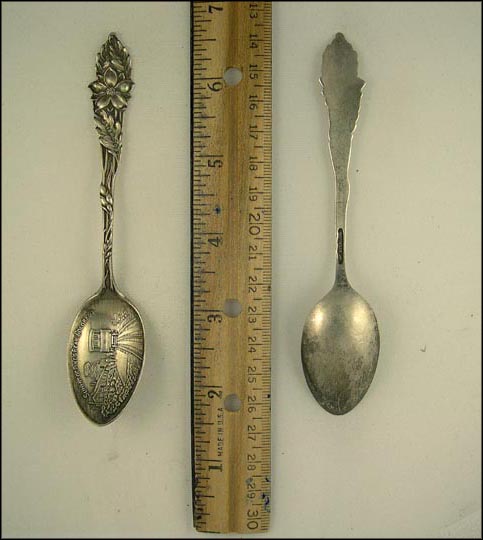 Summit of Pikes Peak, Colorado, Columbine Flowers, Colorado Souvenir Spoon MAIN