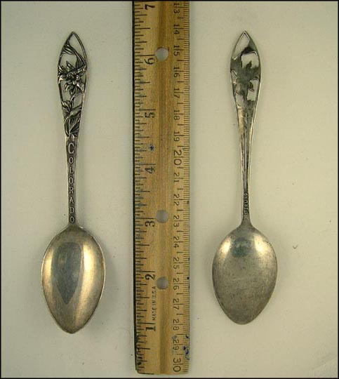 Colorado, Cut Out Flowers, Colorado Souvenir Spoon MAIN