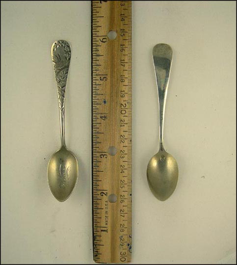 Bird on Branch, Denver, Colorado Souvenir Spoon MAIN