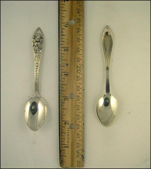 Colorado, Cut Out Flowers, Colorado Souvenir Spoon MAIN