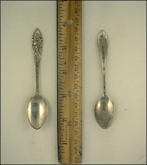 Colorado, Cut Out Flowers, Colorado Souvenir Spoon MAIN