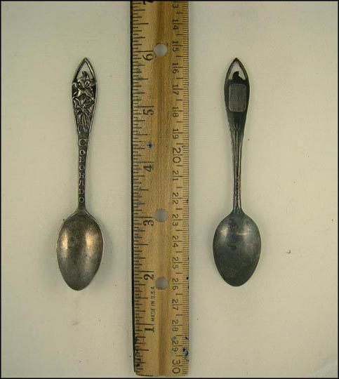 Colorado, Cut Out Flowers, Colorado Souvenir Spoon MAIN