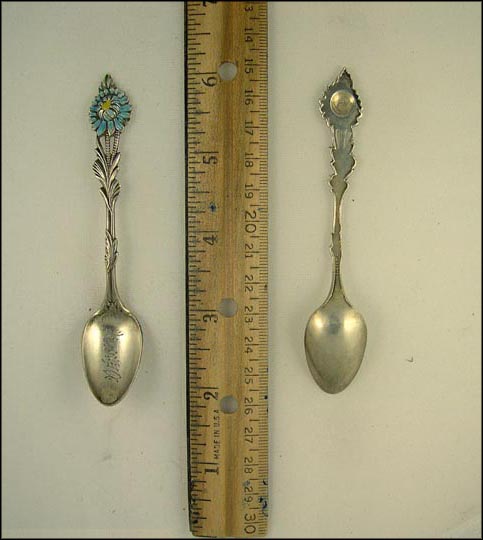 Cut Out Enameled Flower, Denver, Colorado Souvenir Spoon MAIN