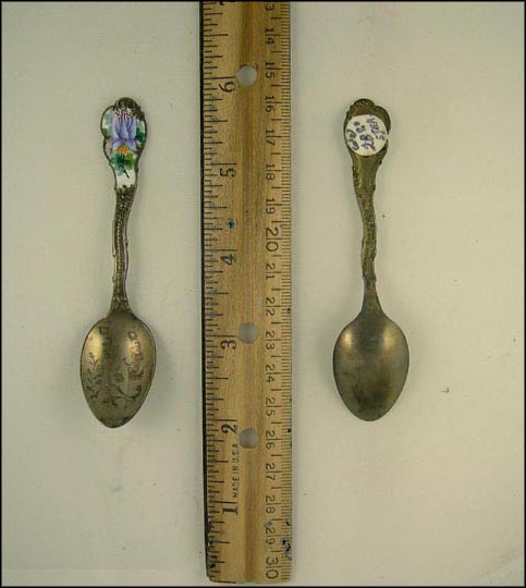 Enameled Flowers, Pueblo, Colorado Souvenir Spoon MAIN