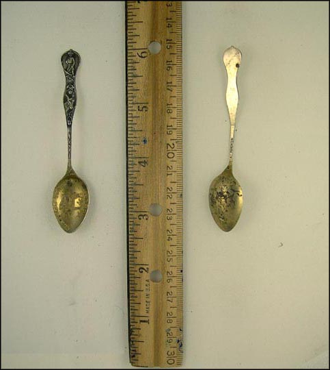 Donkey, Colorado Springs, Colorado Souvenir Spoon MAIN