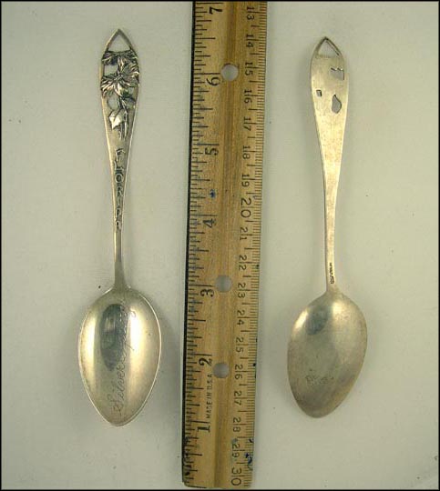 Cut Out Flowers, Silver Springs, Florida Souvenir Spoon MAIN