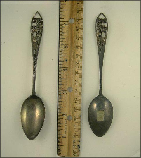 Florida, Cut Out Flowers, Florida Souvenir Spoon MAIN