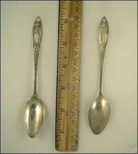 Cut Out Palm Tree Florida, Florida Souvenir Spoon MAIN
