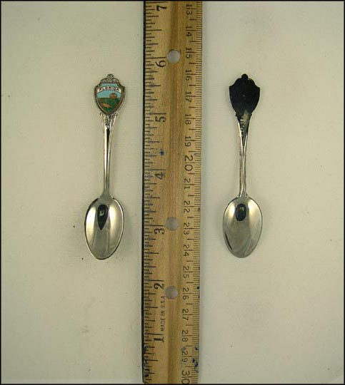 Florida Enameled State Seal, Florida Souvenir Spoon MAIN