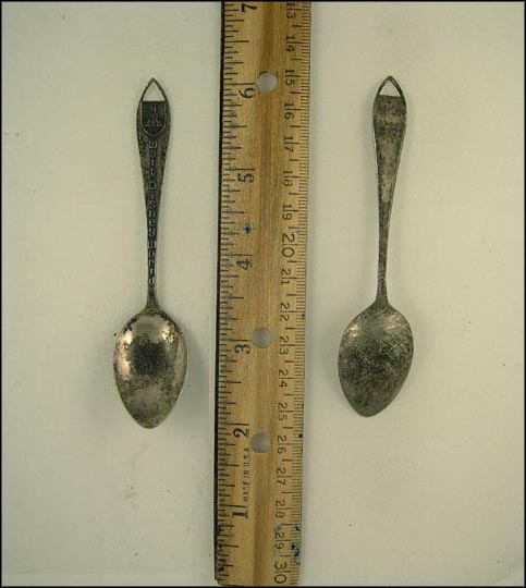 Walt Disney World, Cut Out Handle, Florida Souvenir Spoon MAIN
