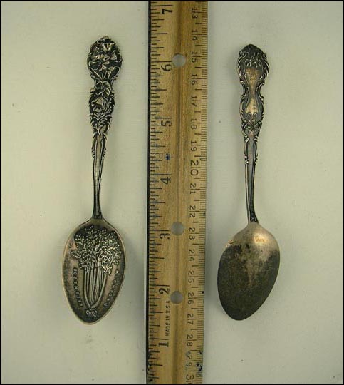 Celery , Kalamazoo, Michigan Souvenir Spoon MAIN