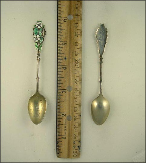 Enameled Flowers, Detroit, Michigan Souvenir Spoon MAIN