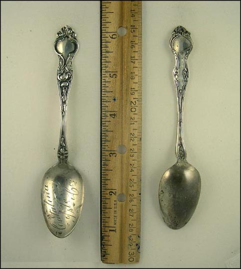 Catalina Island, California Souvenir Spoon MAIN