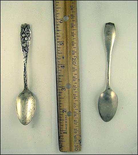 Train and Fruit Souvenir Spoon MAIN