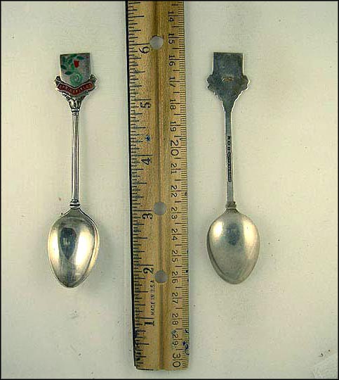 Springfields. Enameled Flower Souvenir Spoon MAIN