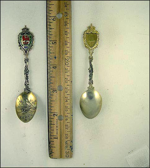 Enameled Crest, Bird Standing In Nest In Tree, Fernie, B.C., Canada Souvenir Spoon MAIN