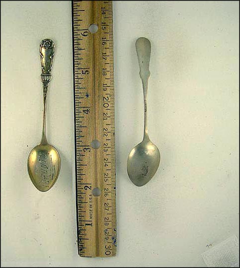 Flower, Toronto, Canada Souvenir Spoon MAIN