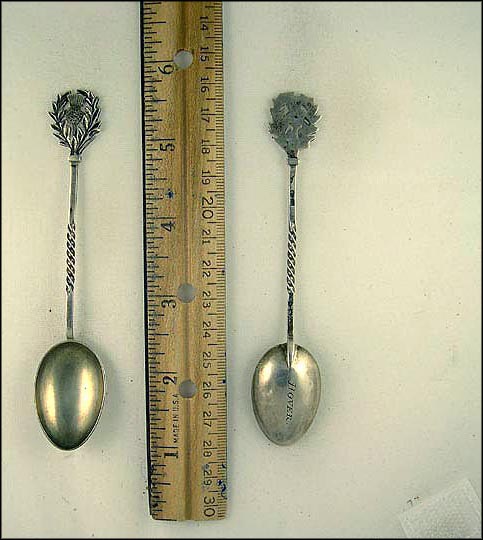 Cutout Plant Souvenir Spoon MAIN