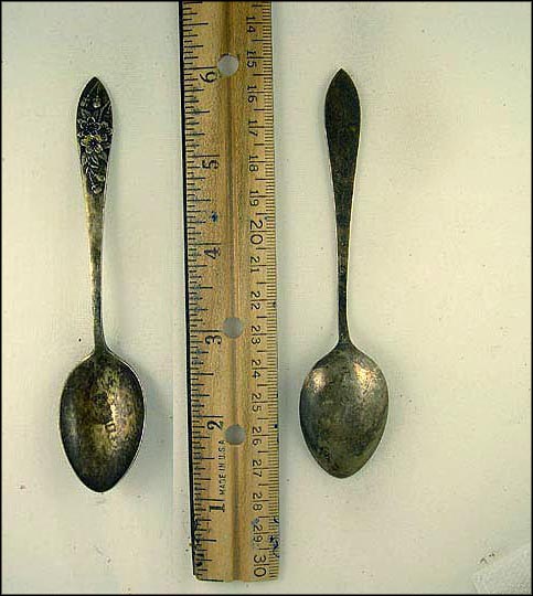 Lotus Flowers, Tokyo, Japan Souvenir Spoon MAIN