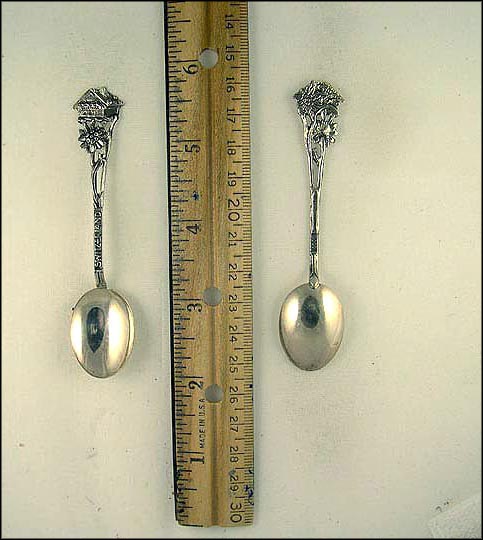 Plants, Chalet, Switzerland Souvenir Spoon MAIN